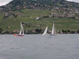 36e Coupe d&#039;Avant et d&#039;Argent 2009